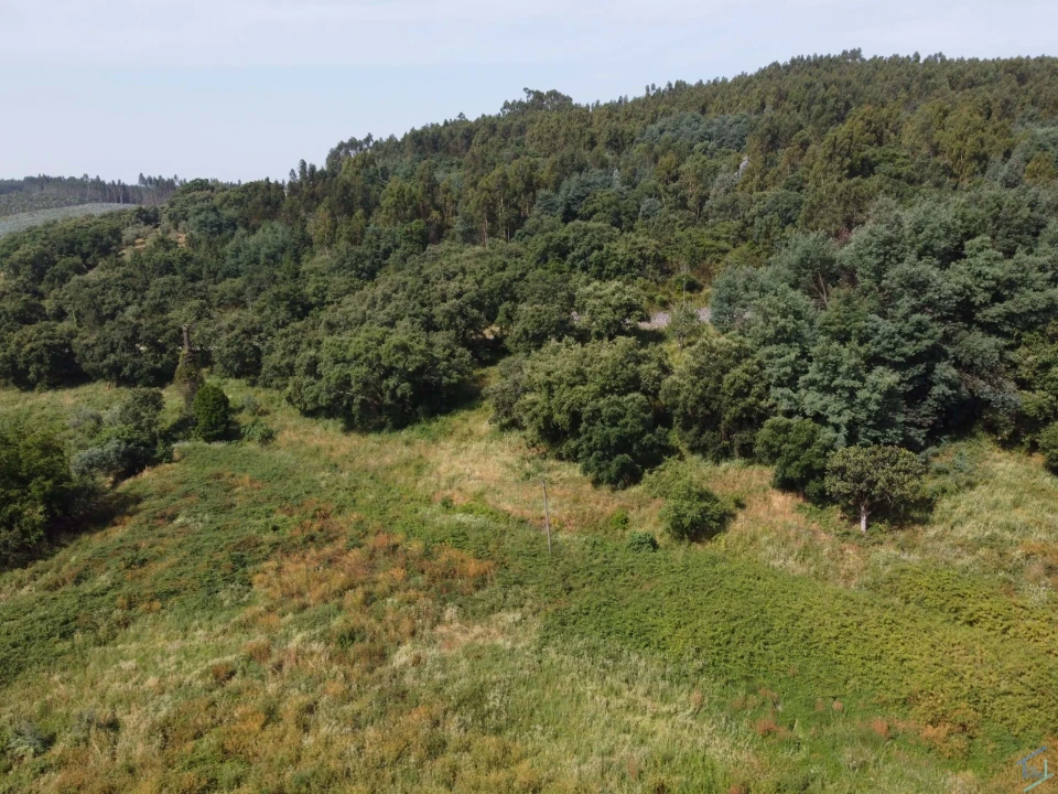 Quinta T7 para Venda em Pussos São Pedro Foto 67