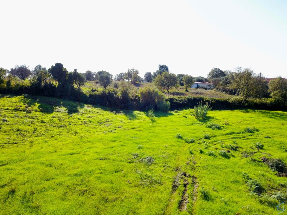 Terreno para Venda em São Pedro de Tomar Foto 27