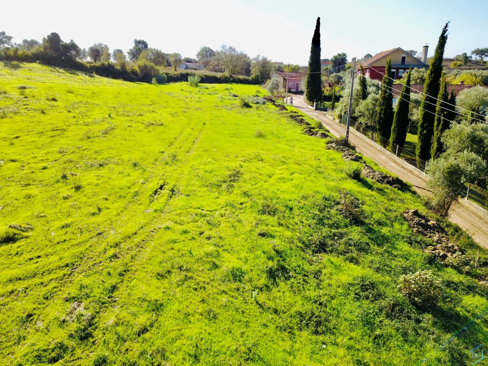 Terreno para Venda em São Pedro de Tomar Foto 5