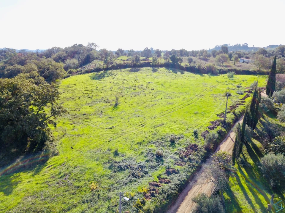 Terreno para Venda em São Pedro de Tomar Foto 24