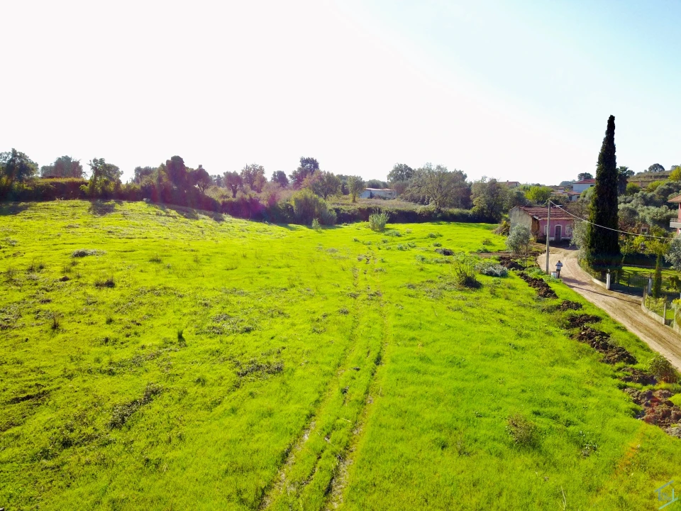 Terreno para Venda em São Pedro de Tomar Foto 19