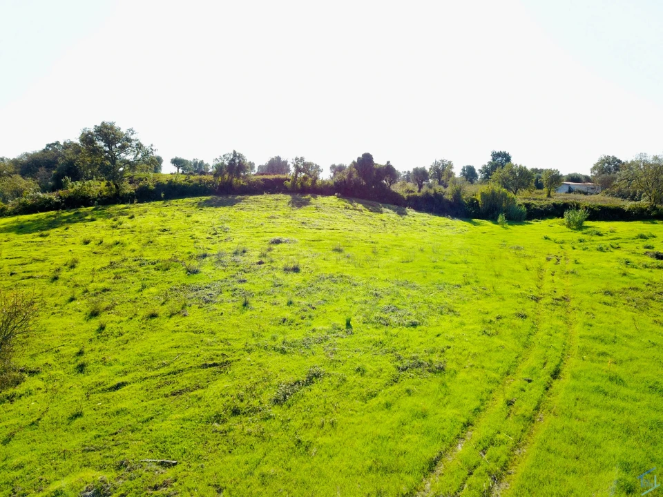 Terreno para Venda em São Pedro de Tomar Foto 14