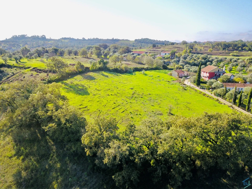 Terreno para Venda em São Pedro de Tomar Foto 4