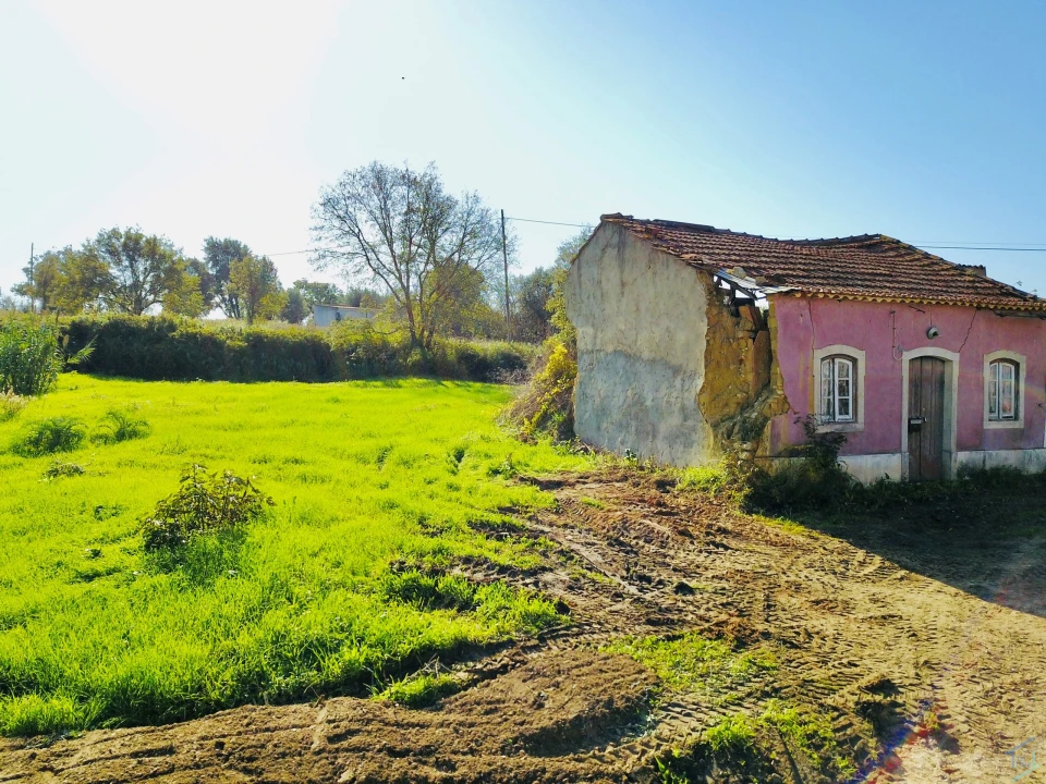 Terreno para Venda em São Pedro de Tomar Foto 11