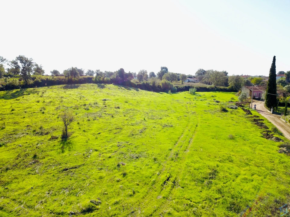 Terreno para Venda em São Pedro de Tomar Foto 29