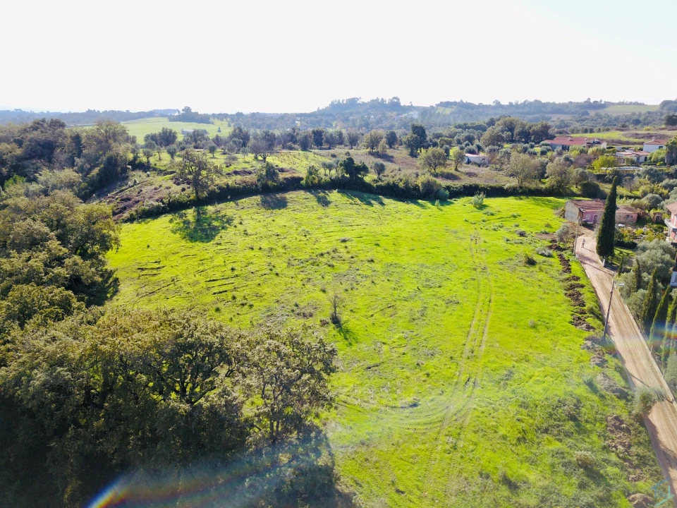 Terreno para Venda em São Pedro de Tomar Foto 23