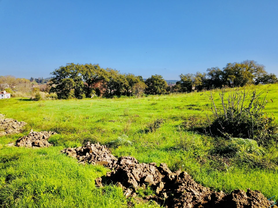 Terreno para Venda em São Pedro de Tomar Foto 2