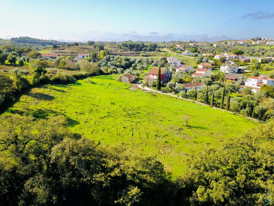 Terreno para Venda em São Pedro de Tomar Foto 28
