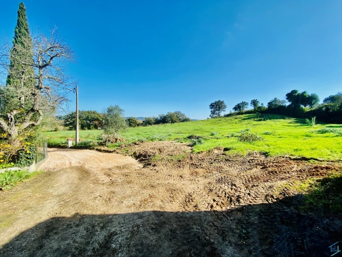 Terreno para Venda em São Pedro de Tomar Foto 40