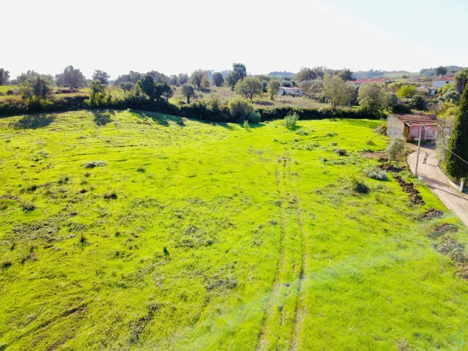 Terreno para Venda em São Pedro de Tomar Foto 17