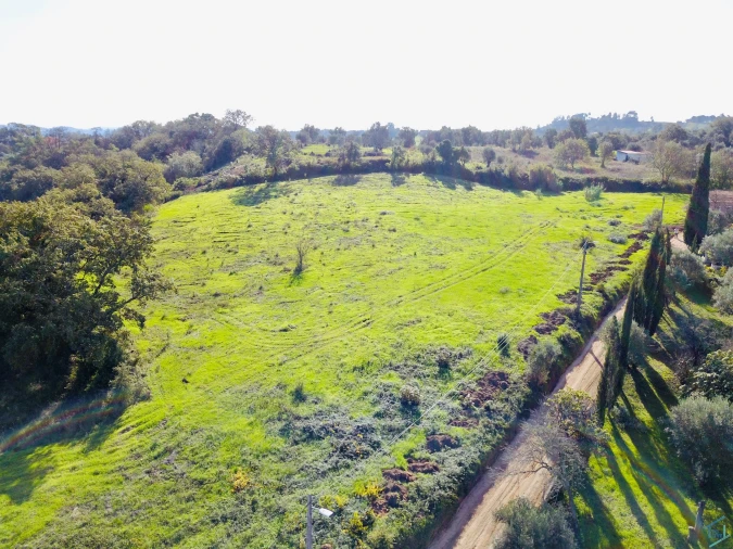 Terreno para Venda em São Pedro de Tomar Foto 24
