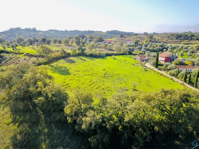 Terreno para Venda em São Pedro de Tomar Foto 4