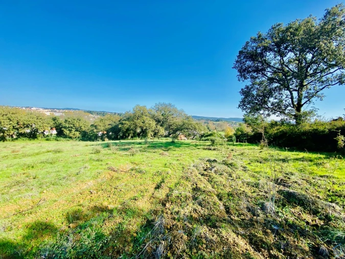 Terreno para Venda em São Pedro de Tomar Foto 37