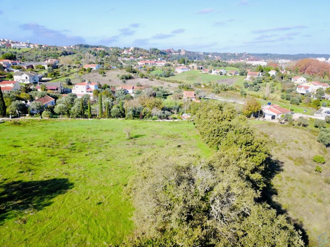 Terreno para Venda em São Pedro de Tomar Foto 22