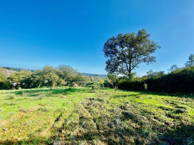 Terreno para Venda em São Pedro de Tomar Foto 39