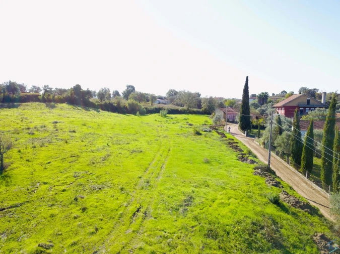 Terreno para Venda em São Pedro de Tomar Foto 13