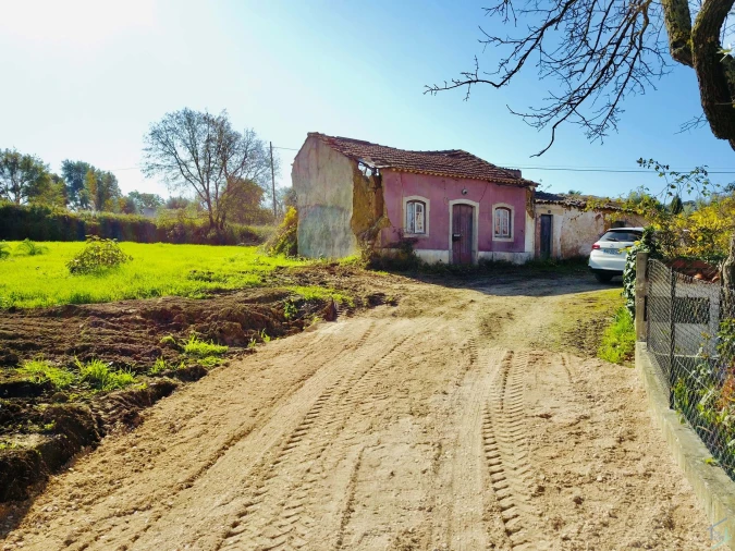 Terreno para Venda em São Pedro de Tomar Foto 18