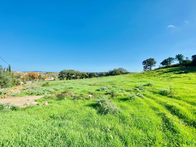 Terreno para Venda em São Pedro de Tomar Foto 32
