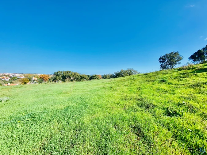 Terreno para Venda em São Pedro de Tomar Foto 33