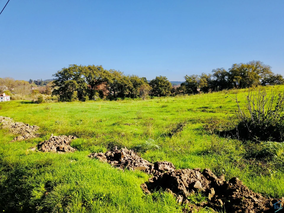 Terreno para Venda em São Pedro de Tomar Foto 8