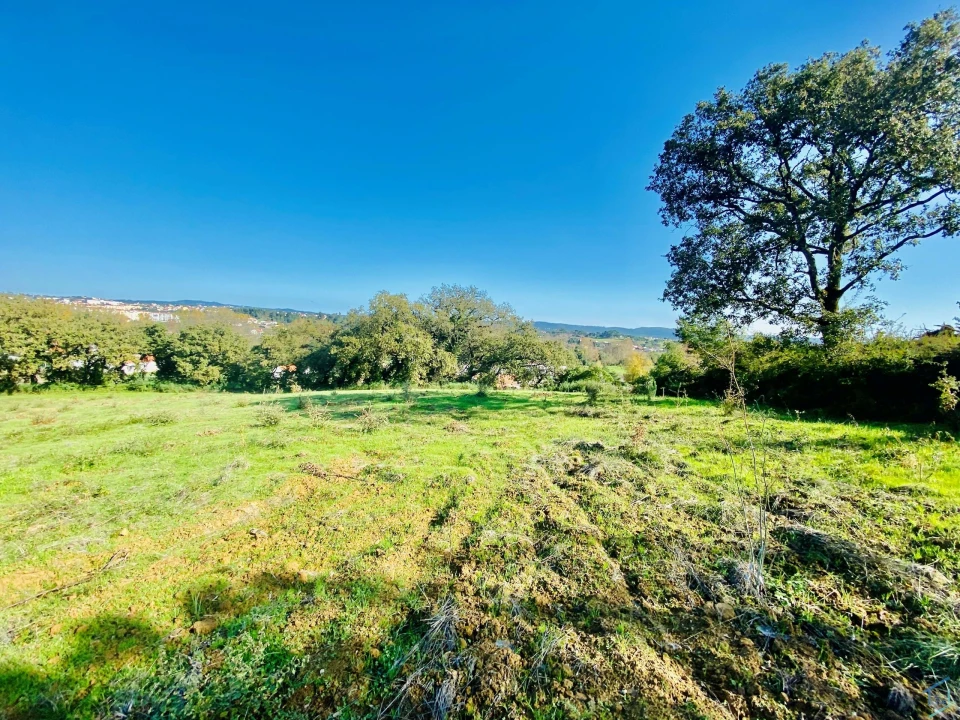 Terreno para Venda em São Pedro de Tomar Foto 37