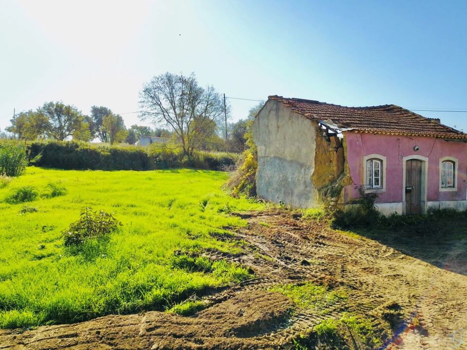 Terreno para Venda em São Pedro de Tomar Foto 10