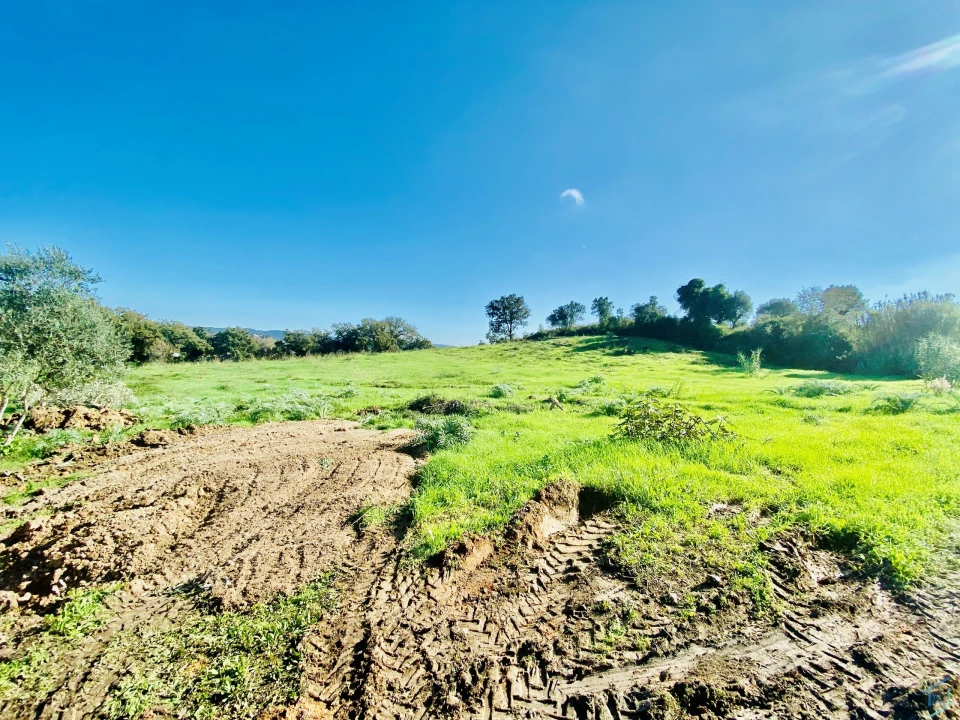 Terreno para Venda em São Pedro de Tomar Foto 30