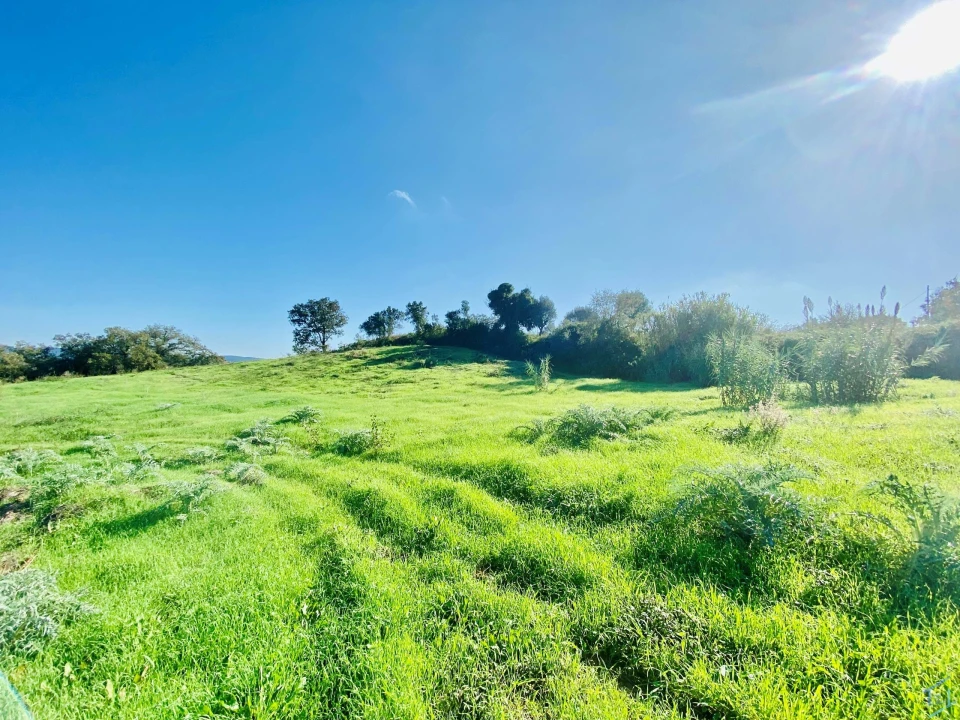 Terreno para Venda em São Pedro de Tomar Foto 31