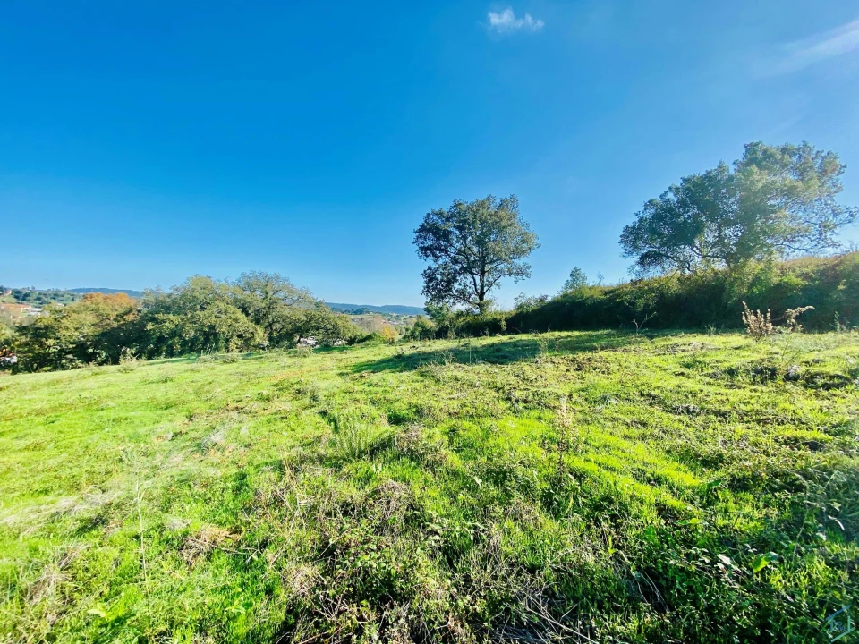 Terreno para Venda em São Pedro de Tomar Foto 34