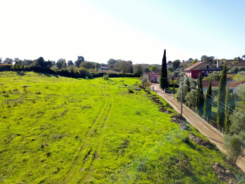 Terreno para Venda em São Pedro de Tomar Foto 16