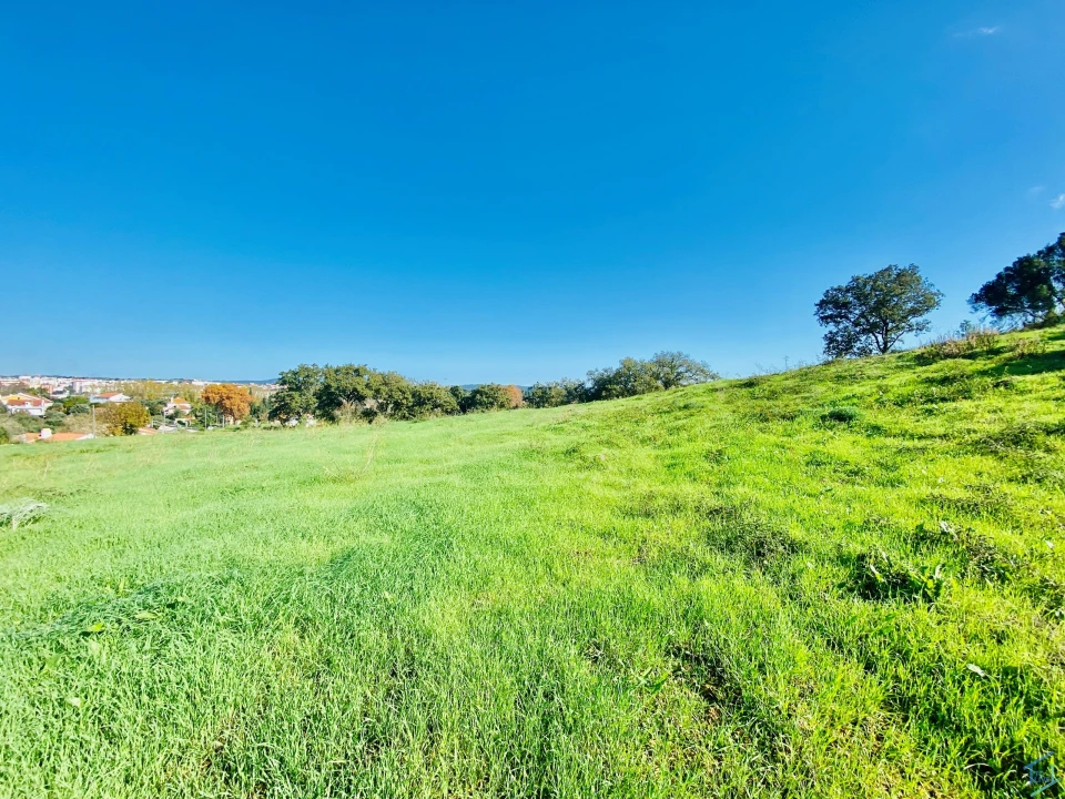 Terreno para Venda em São Pedro de Tomar Foto 33
