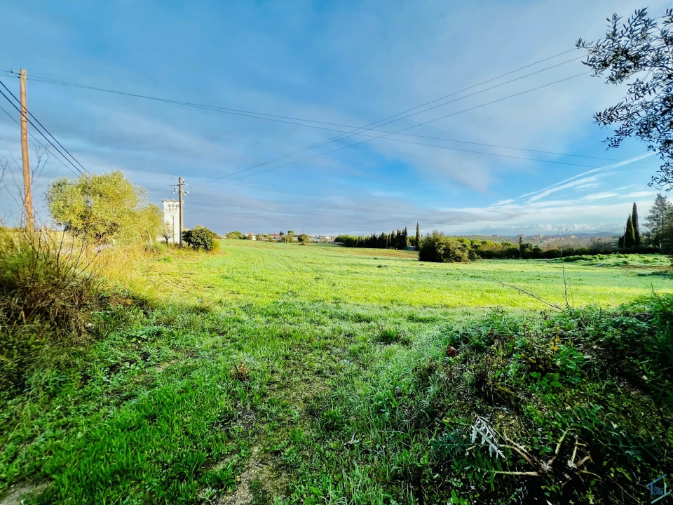 Terreno para Venda em Madalena e Beselga Foto 12