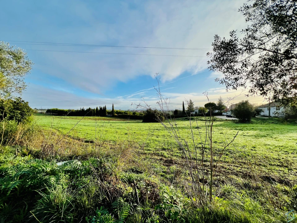 Terreno para Venda em Madalena e Beselga Foto 14