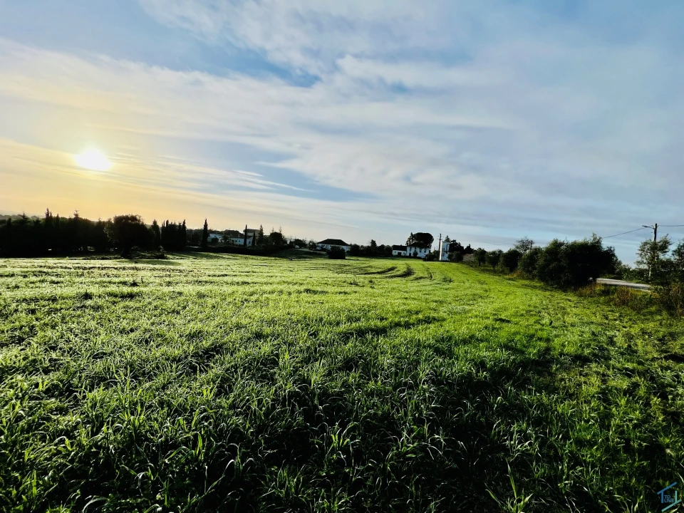 Terreno para Venda em Madalena e Beselga Foto 6