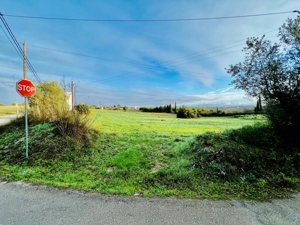 Terreno para Venda em Madalena e Beselga Foto 10