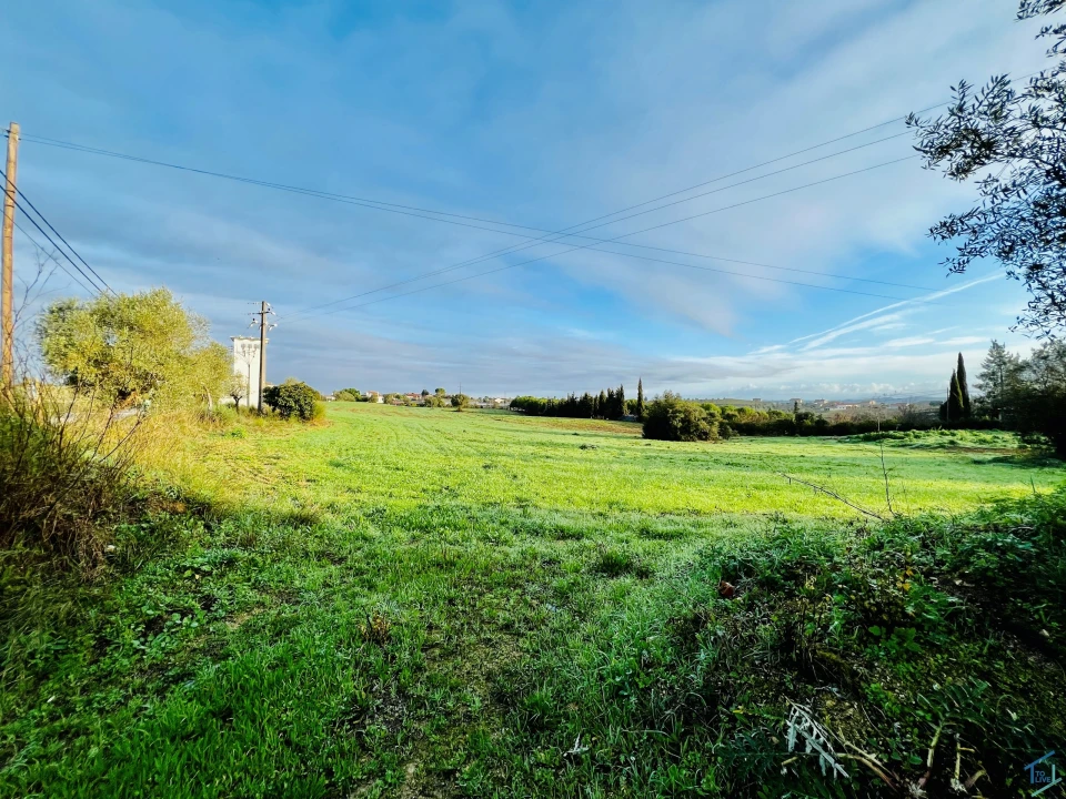 Terreno para Venda em Madalena e Beselga Foto 13