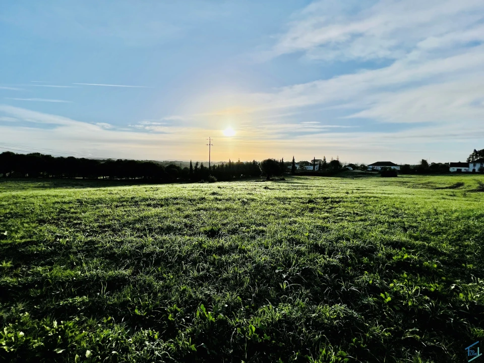 Terreno para Venda em Madalena e Beselga Foto 1