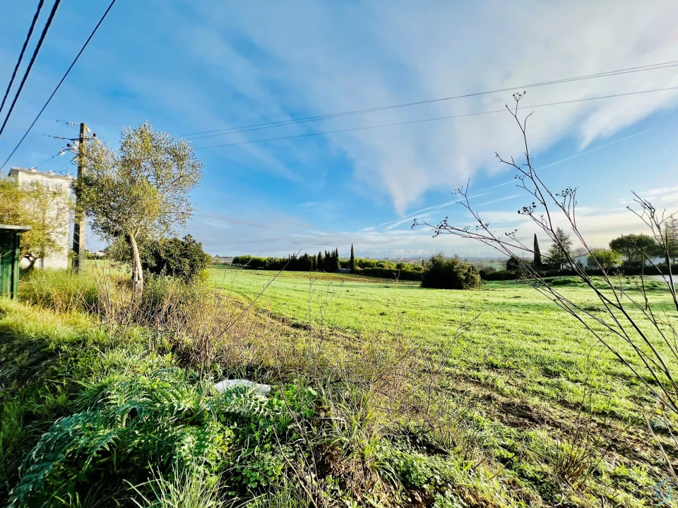 Terreno para Venda em Madalena e Beselga Foto 8