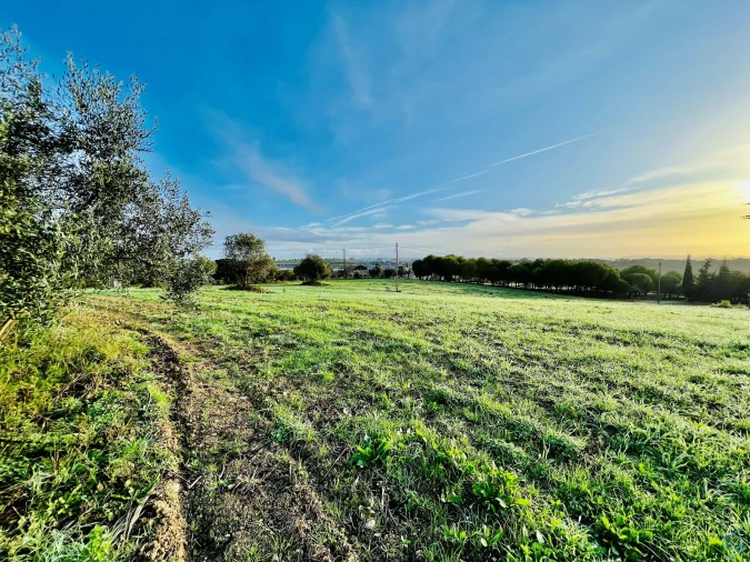 Terreno para Venda em Madalena e Beselga Foto 2