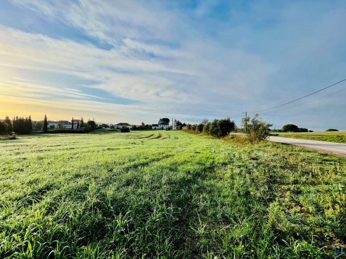 Terreno para Venda em Madalena e Beselga Foto 5