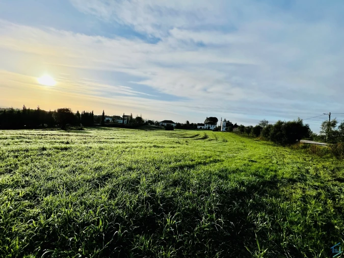 Terreno para Venda em Madalena e Beselga Foto 6