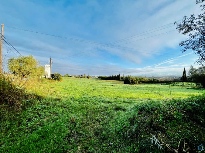 Terreno para Venda em Madalena e Beselga Foto 13