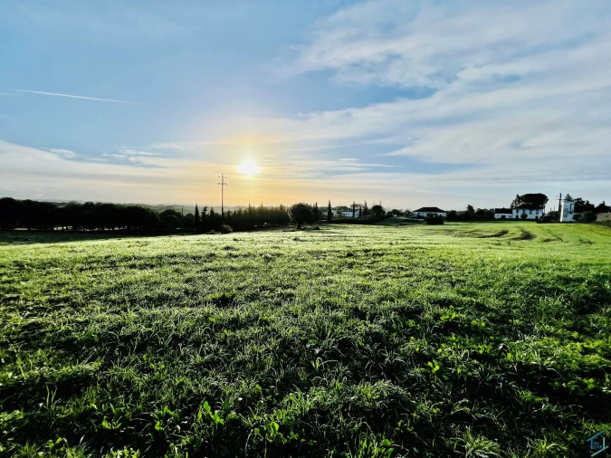 Terreno para Venda em Madalena e Beselga Foto 3