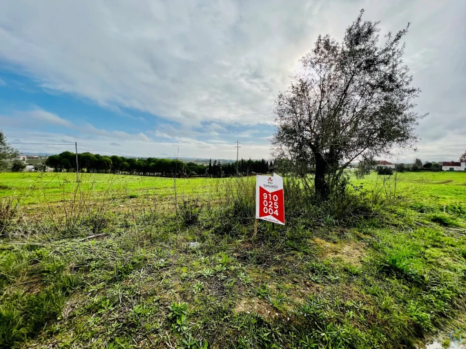 Terreno para Venda em Madalena e Beselga Foto 17