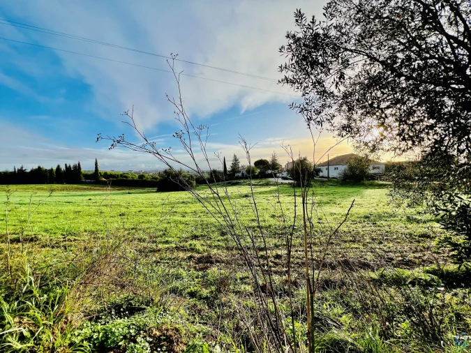 Terreno para Venda em Madalena e Beselga Foto 9