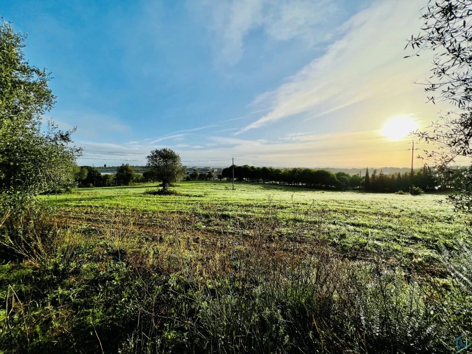 Terreno para Venda em Madalena e Beselga Foto 7