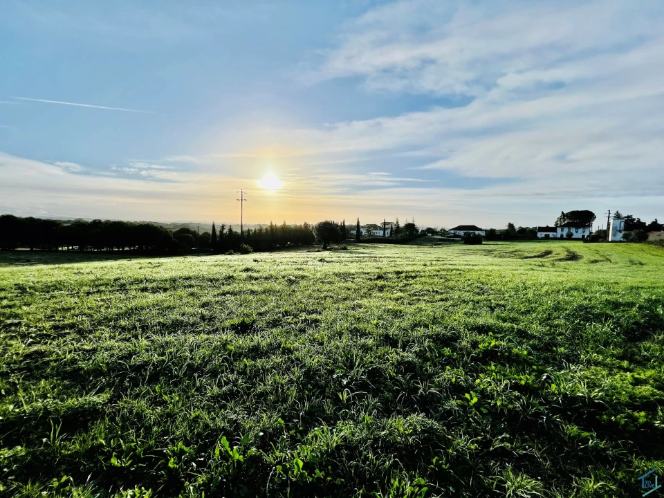 Terreno para Venda em Madalena e Beselga Foto 3
