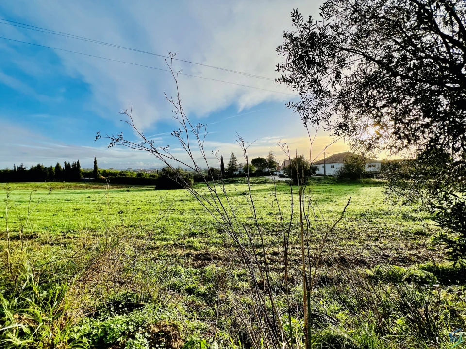 Terreno para Venda em Madalena e Beselga Foto 9