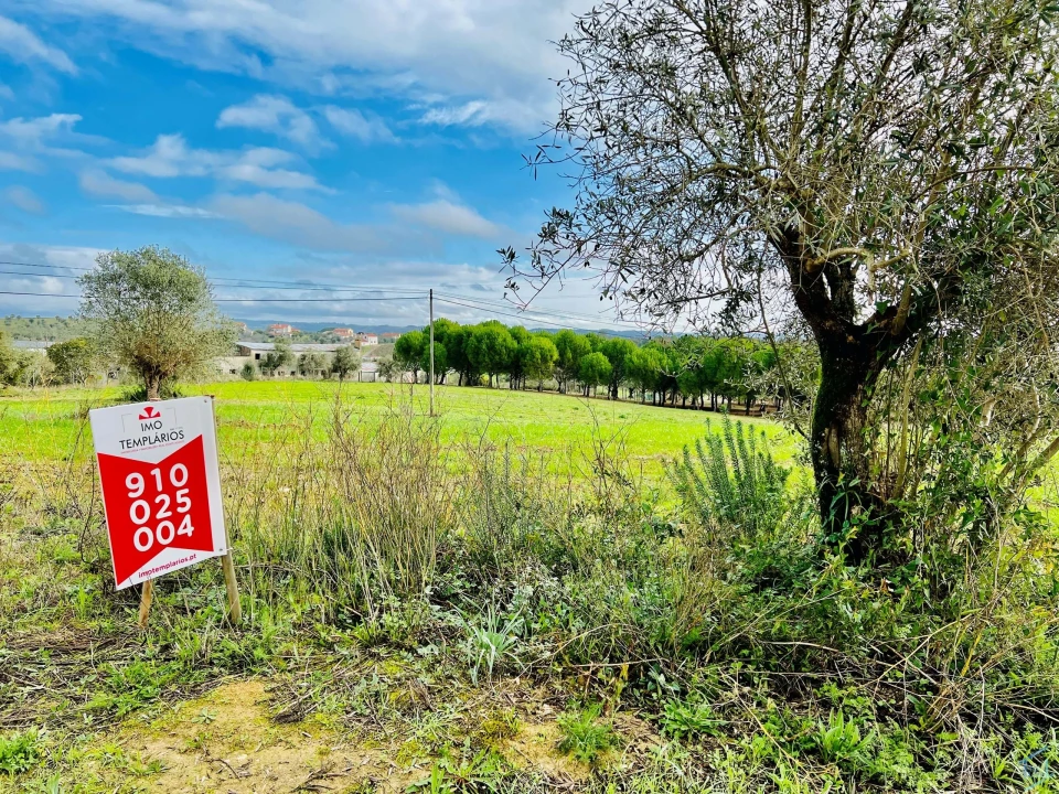 Terreno para Venda em Madalena e Beselga Foto 16