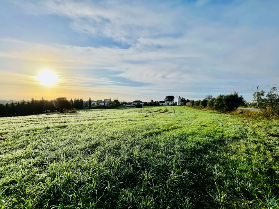 Terreno para Venda em Madalena e Beselga Foto 4